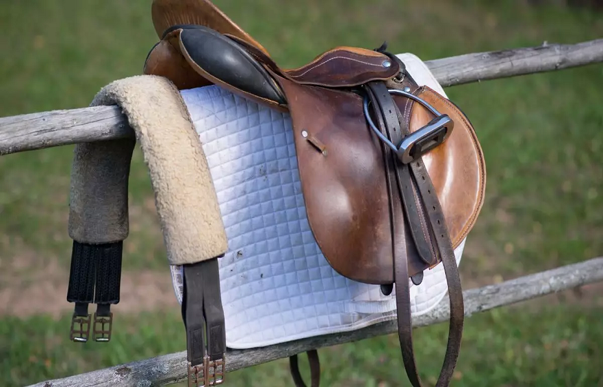 Why its important for horses to have saddle pads during performances .